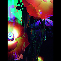 World Domination Headquarters 2005