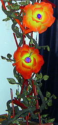 Our tester companion piece for 2006