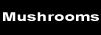 Mushroom Sitting Stools:  We offer so many stools and in two sizes!  They are handcrafted and unique.  They are a great way to provide extra seating.  