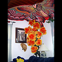 Home Installations