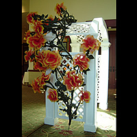 Rose Vine Installation