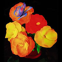 Flower Bouquets