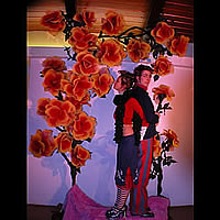 Store Displays